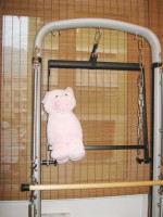 /album/un-po-di-noi-/img-4649-jpg/