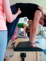 /album/galleria-foto-homepage/p1040683-jpg/